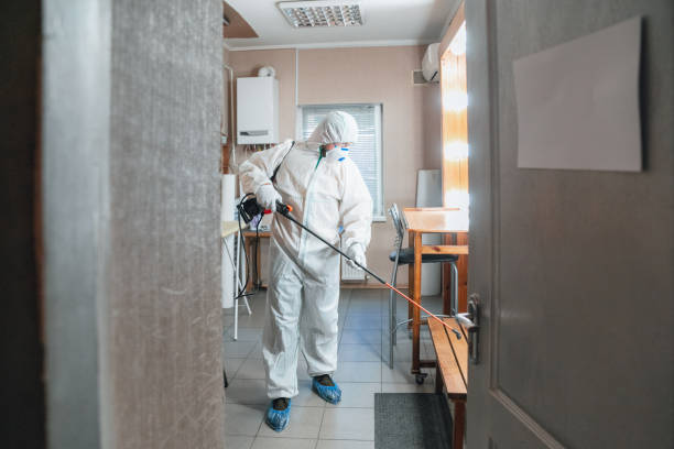 Best Mold Prevention Services  in USA